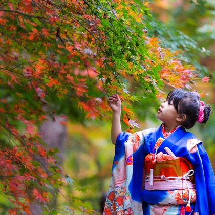 Human worksが撮影した「:albumName」の写真