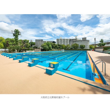 クリエイティブツリーが撮影した「:albumName」の写真