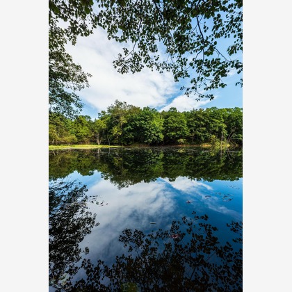 高木勇斗が撮影した「:albumName」の写真