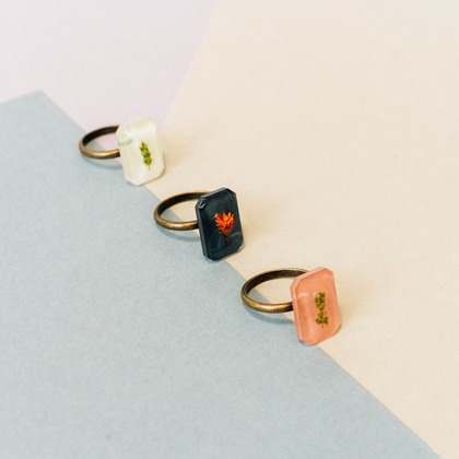 鈴木英治が撮影した「:albumName」の写真