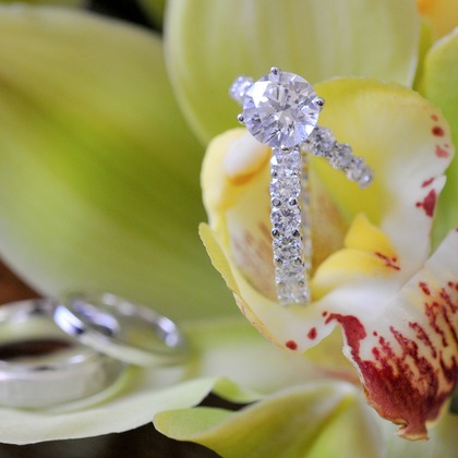 Photo of :albumName taken by éclat photography