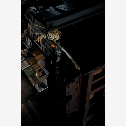 kiharu&photoが撮影した「:albumName」の写真