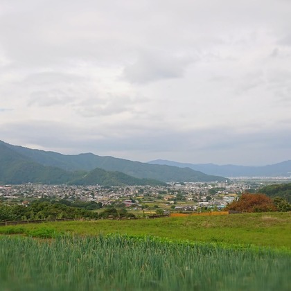 出張撮影のメモリーズが撮影した「:albumName」の写真