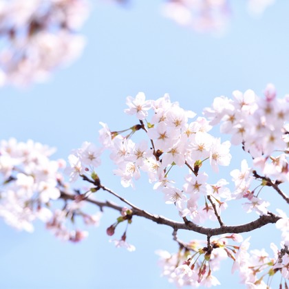 ライトステージが撮影したその他/店舗/オフィス/サロン撮影/イベント/スナップ撮影/商品/物撮りの写真