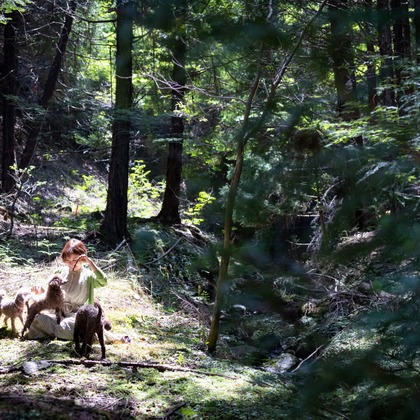 LUCE PHOTO WORKSが撮影したウェディングや家族、ビジネスの写真