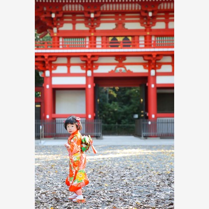 KOMOREBI Photo.　大如　耕平が撮影した七五三フォトの写真