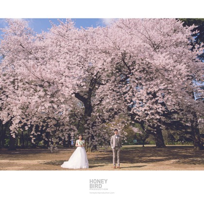 Honeybird Production Wedding Photographyが撮影した「:albumName」の写真