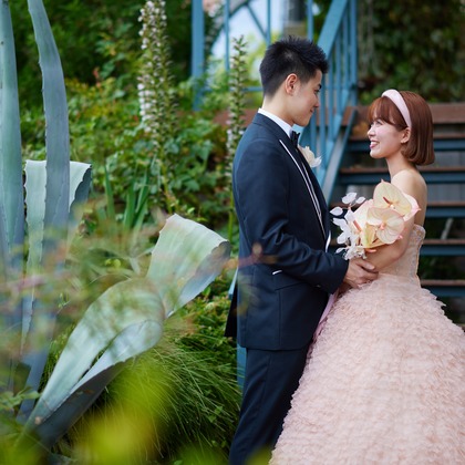 アートシーン株式会社が撮影した「:albumName」の写真