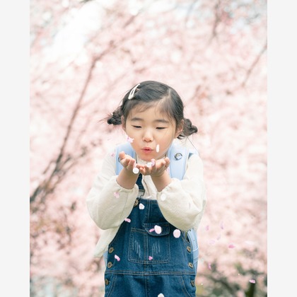 戸澤麻衣が撮影したその他の写真