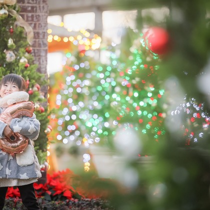 株式会社Neo-Smile 「locationbreeze」高橋 徹が出張撮影した臨江裁判所, Tooruokisan Zuigan Temple, フィクスチャなどが写った「記念写真」の家族写真