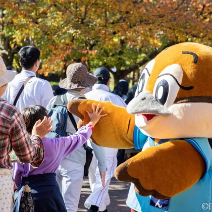 道海史佳が撮影した「:albumName」の写真