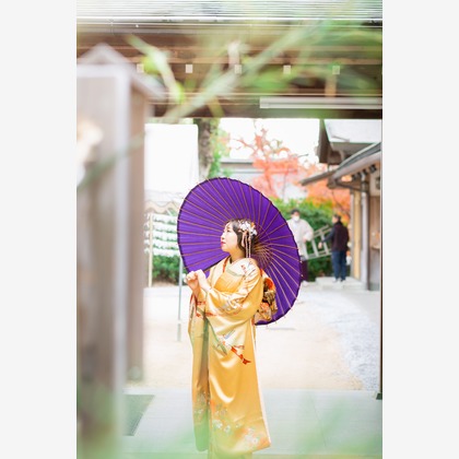 多田正子が撮影した「:albumName」の写真