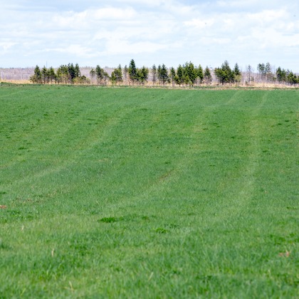 眞田 厚司が撮影したウェディングや家族、ビジネスの写真