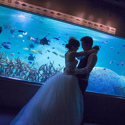 Wedding, Bridal Photos taken by Mio