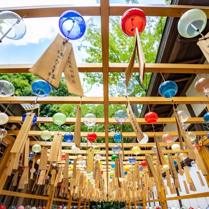 長竹　進吾が撮影した「:albumName」の写真