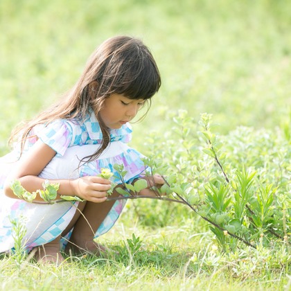 眞田 厚司が出張撮影したペンギン, スポーツグループ, イヌ科などが写った「家族写真・子供写真」の家族写真