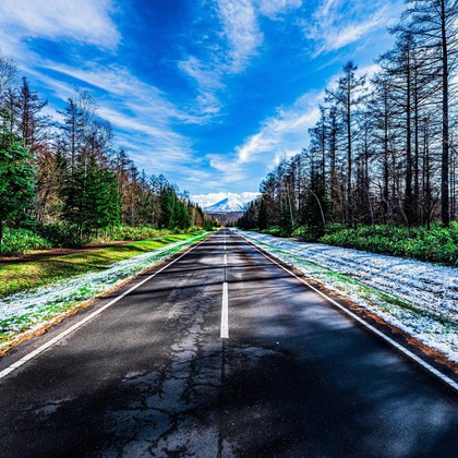 高木勇斗が撮影した「:albumName」の写真