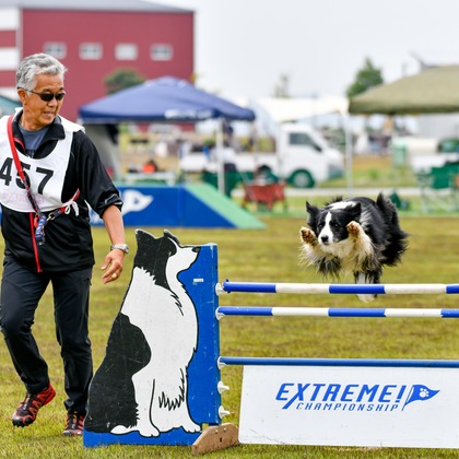 スタジオファンタスが撮影した「:albumName」の写真