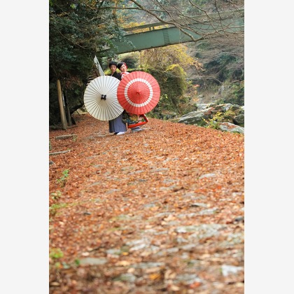 Photo of :albumName taken by Smilehunter