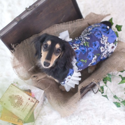 荒畑けいこが出張撮影した友情, 砂, 楽しげが写った家族写真(キッズ,ベビーフォト)の写真