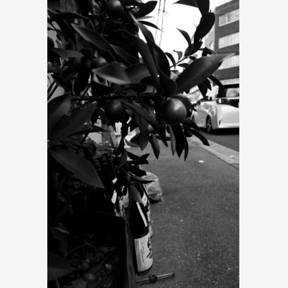 Green Backasが撮影したイベント/スナップ撮影/人物撮影の写真