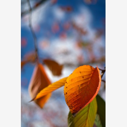 難波卓美が撮影した「:albumName」の写真