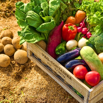 高橋　良が撮影した「:albumName」の写真