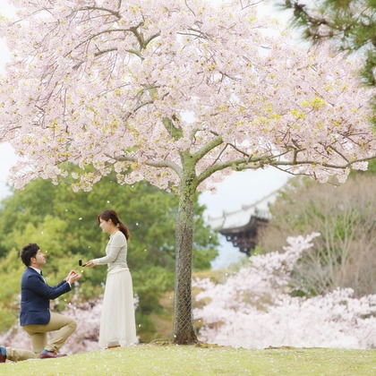 B WORKs PHOTOGRAPHY（丸山  隆史）が撮影した「:albumName」の写真