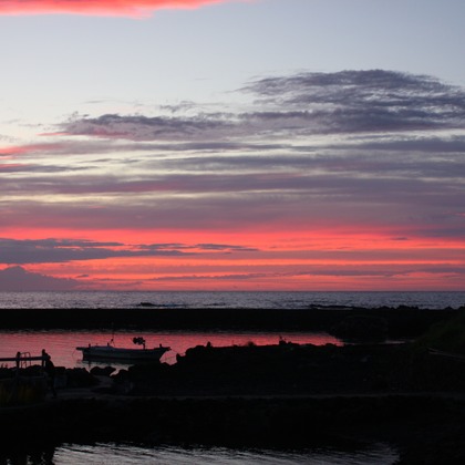 blink photoが撮影したウェディングや家族、ビジネスの写真