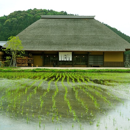 若林聖人が撮影した店舗/オフィス/サロン撮影/料理撮影/人物撮影の写真