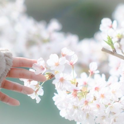 堀内 陽希が撮影したイベント/スナップ撮影の写真