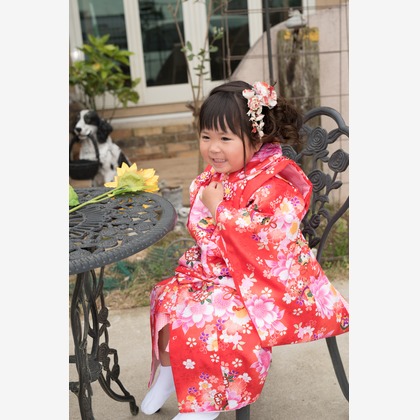 坂川直紀が撮影した「:albumName」の写真