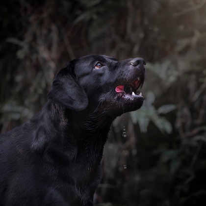 梅田　紫邑が撮影したその他の写真