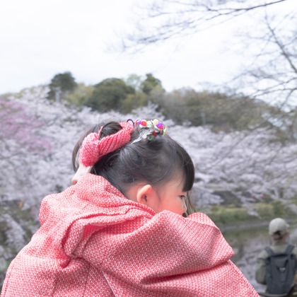 ミヤタカズコが撮影した「:albumName」の写真