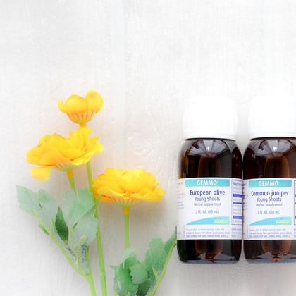 なかがわさとみが撮影した「:albumName」の写真