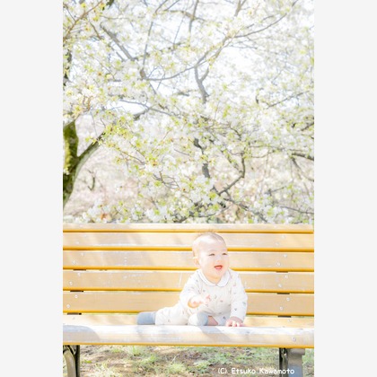 かわもとえつこが撮影した「:albumName」の写真