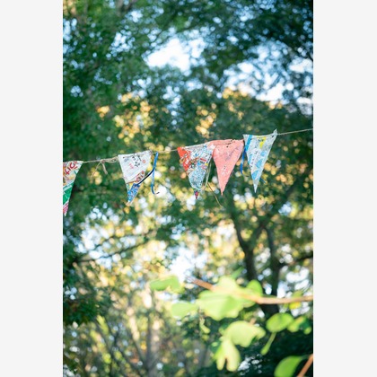 戸澤麻衣が撮影した「:albumName」の写真