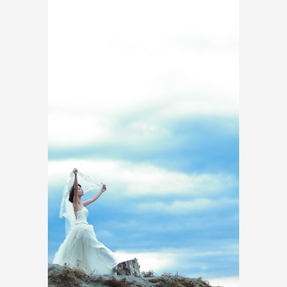 ピュアアーティス(小島 靖雄)が撮影した「:albumName」の写真