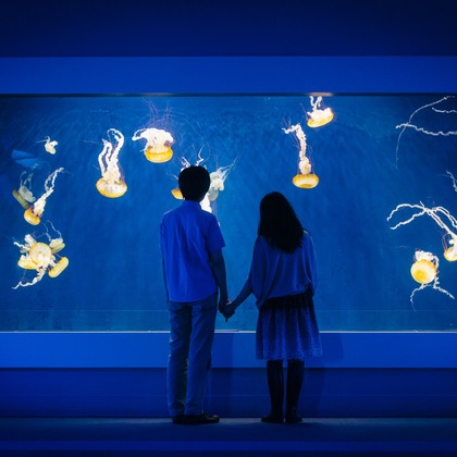 Photo of :albumName taken by Before the rain photography