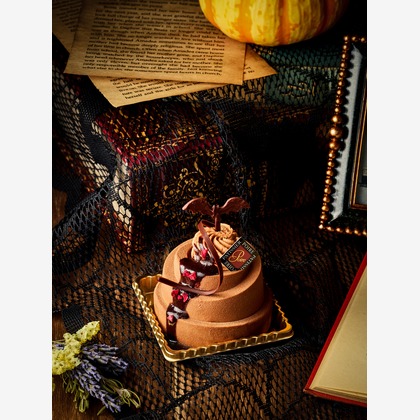 Tomoko Photographyが撮影したウェディングや家族、ビジネスの写真