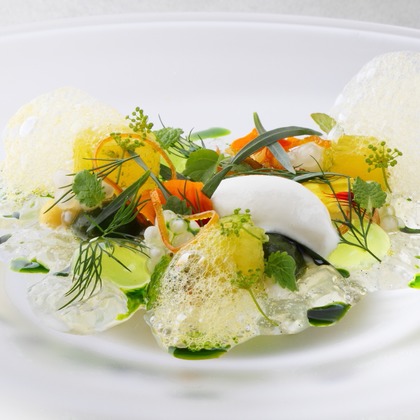 森安　照が撮影したウェディングや家族、ビジネスの写真