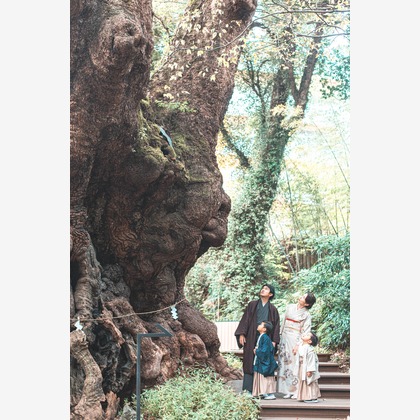 kudophotoが撮影した家族写真の出張撮影/七五三フォトの写真