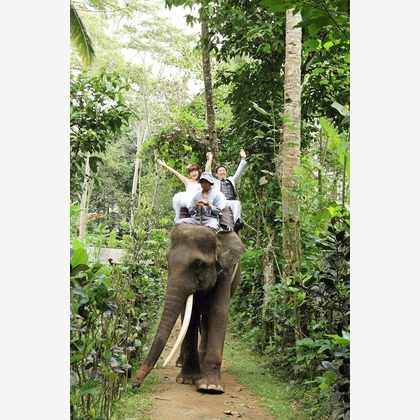 Yoshihisa Shinji Photography（進士 嘉久）	が撮影したウェディングや家族、ビジネスの写真