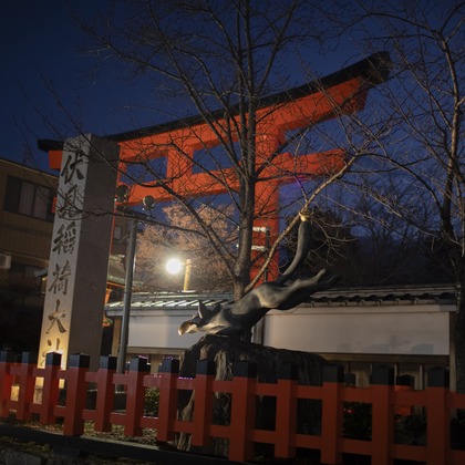 松見　翠が撮影した「:albumName」の写真