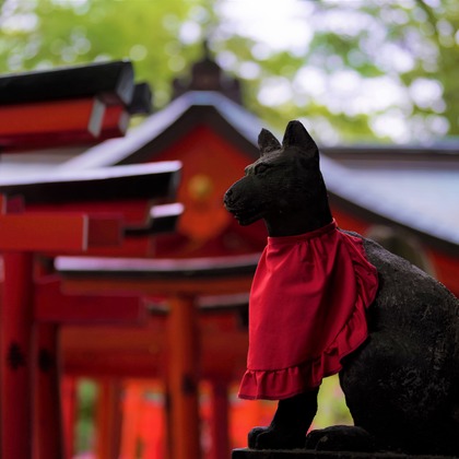 鈴木賢志が撮影した旅行先の記念撮影の写真