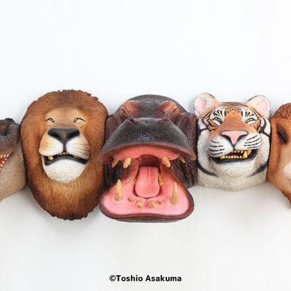 長谷部ナオキチが撮影した「:albumName」の写真