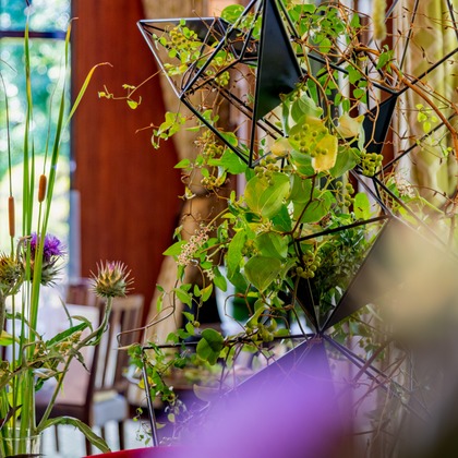 スタジオファンタスが撮影した「:albumName」の写真