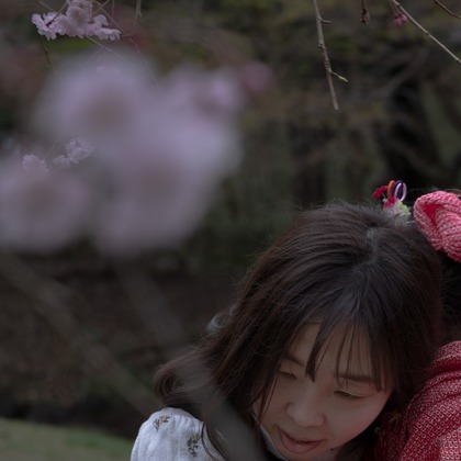 ミヤタカズコが撮影した「:albumName」の写真