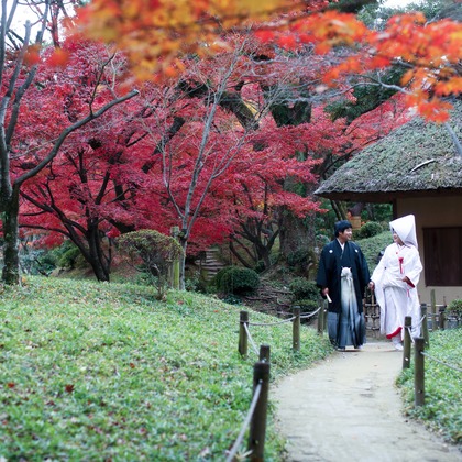 KIKIウェディングが撮影したウェディングや家族、ビジネスの写真