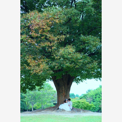 Photo of :albumName taken by WEDDING AVENUE